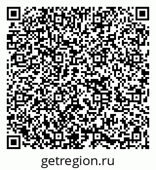 79060017541