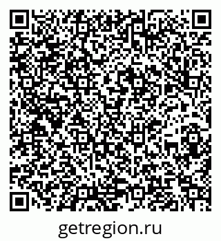 79060988831