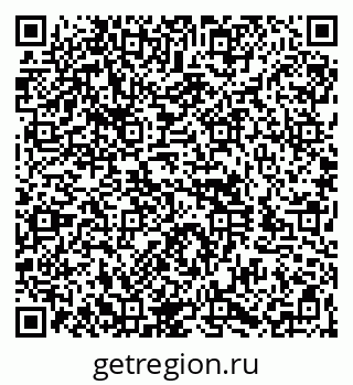 79060995281