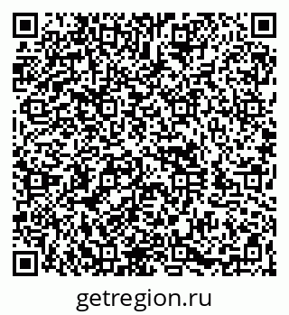 79060995541