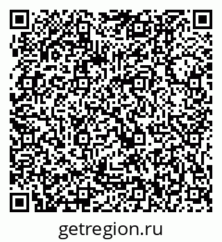 79061100381