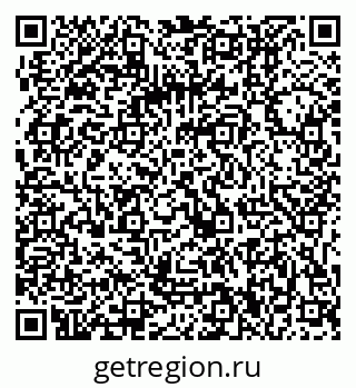 79061100393