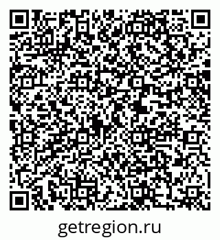 79061100499