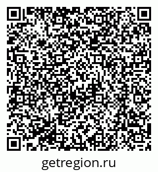 79061100804