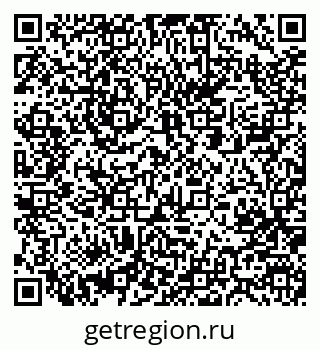 79061204981