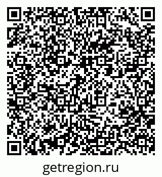 79061210041