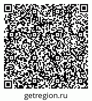 79061228346