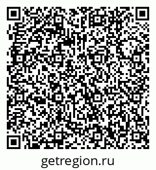 79061240411