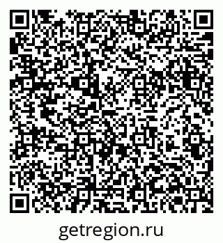79061370354