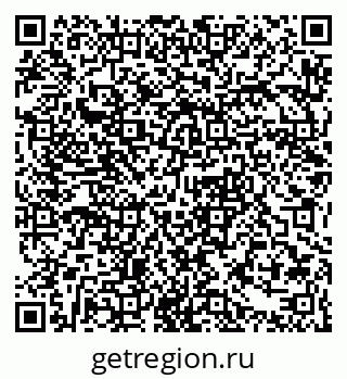79061375411