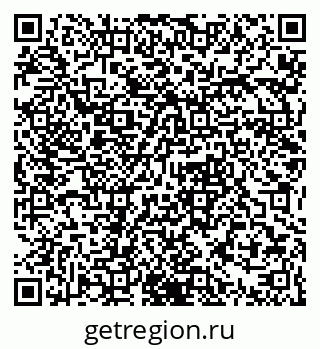 79061375981