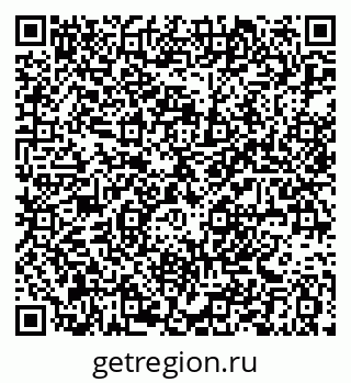 79061380384