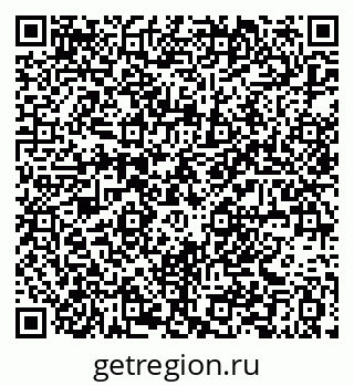 79061381995