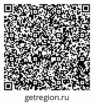 79061499304