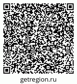 79061499384