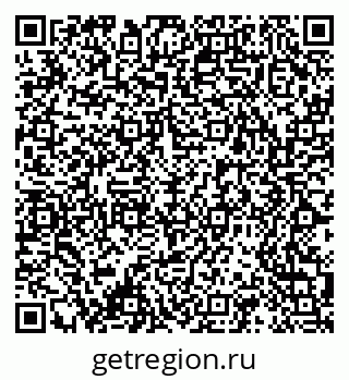 79061539204