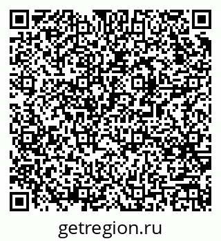 79061555881