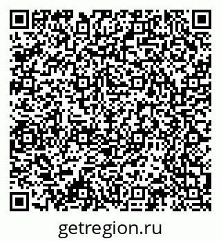 79061556384