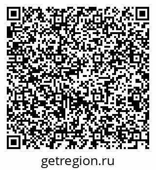79061603393