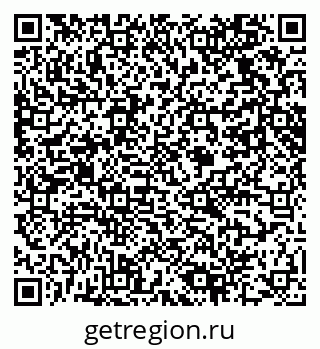 79061628381