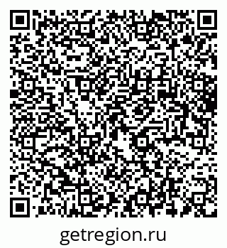 79061768541
