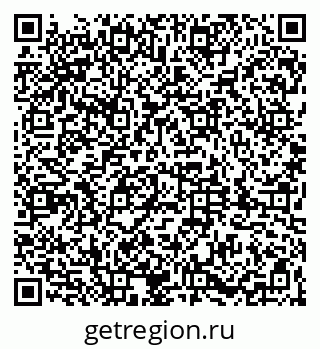 79061804911