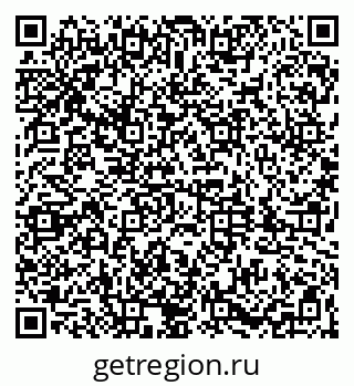 79061806411
