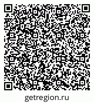 79061811381