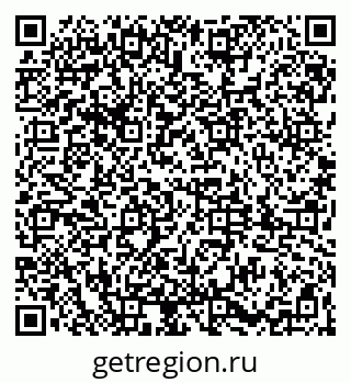 79061819520