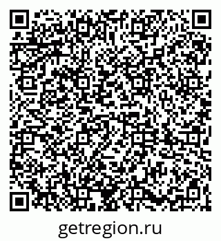 79061826923