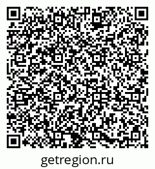 79061831341
