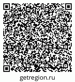 79061831538