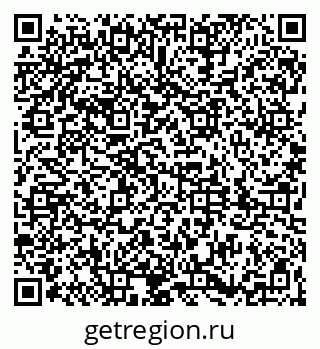 79061831904