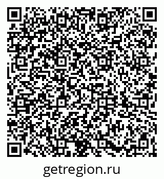 79061832804