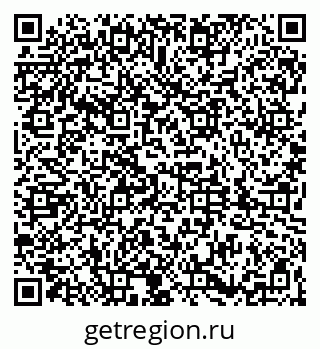 79061836804