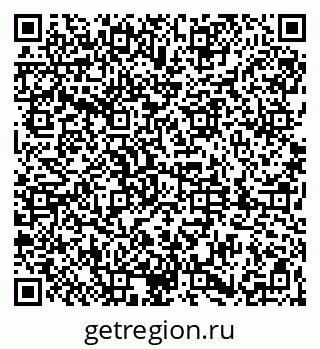 79061838281