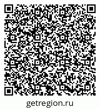 79061838808