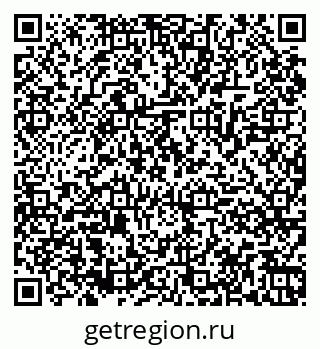 79061869636