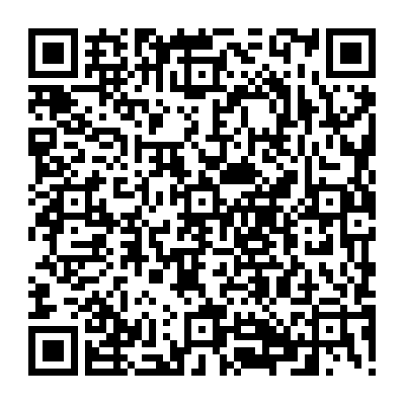 79061870804
