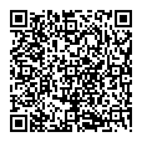 79061903295
