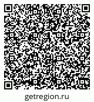 79061904021