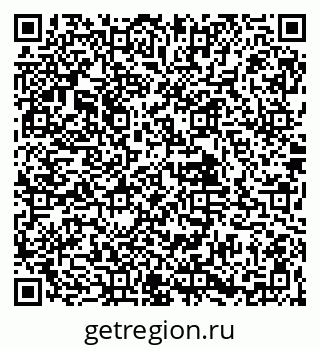 79061904041