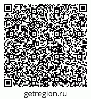 79061904066