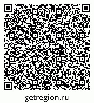 79061904081