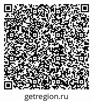 79061904091