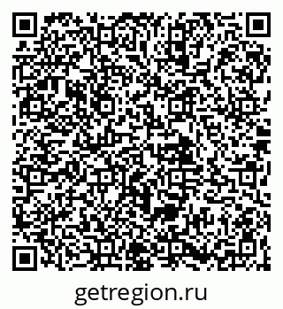 79061904109