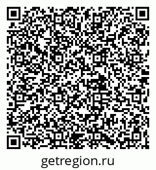 79061904382