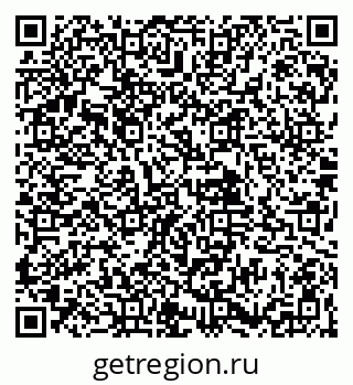 79061904411
