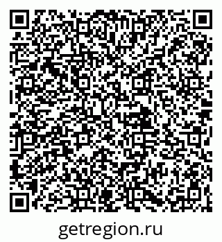 79061923381