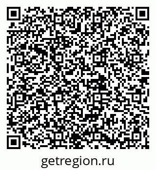 79061929808